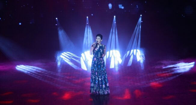 Được các doanh nghiệp CNTT cổ vũ, ca sỹ Lệ Quyên bất ngờ, thích thú