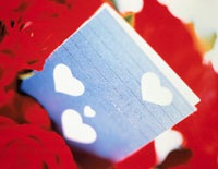 Thư gửi người em trai đã khuất