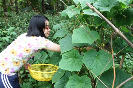 Hình ảnh cuộc sống thường nhật đơn sơ của một tấm gương nghị lực phi thường