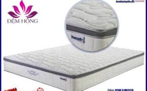 Đệm lò xo – người bạn chăm sóc giấc ngủ gia đình bạn!