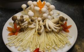 Lẩu nấm Fansipan – Món ngon bổ dưỡng cho ngày hè