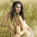 NEM “Phiêu Bồng” cùng Thời trang văn phòng