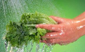 Cần ngăn ngừa bệnh tật đến từ nguồn nước