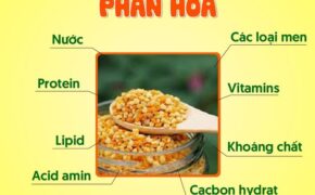 Phấn hoa – “siêu thực phẩm” giúp bé ăn ngon, tiêu hóa tốt
