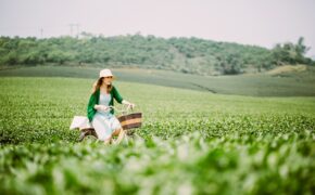 Điểm danh những điều tuyệt vời trong MV triệu view của Mỹ Tâm