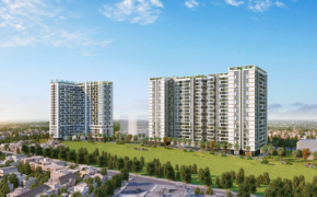 “Tắm rừng” giữa phố