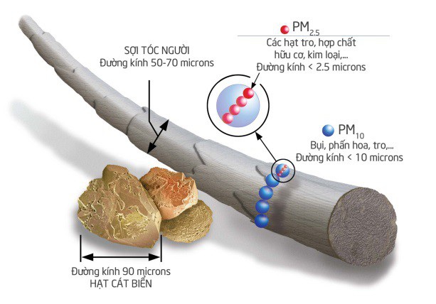 Kích thước hạt bụi PM 2.5 so với sợi tóc