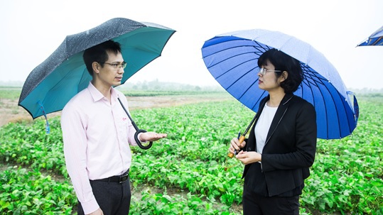 Bà Nguyễn Lam Giang - GĐ Tổ chức Helvetas Việt Nam và Ông Phạm Văn Đông – GĐ Công ty Nam Dược tại vùng trồng đậu nành theo tiêu chuẩn GACP - WHO đầu tiên của Việt Nam