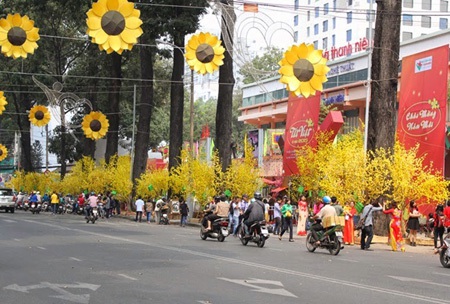 Giới trẻ háo hức săn những góc ảnh đẹp trước thềm năm mới