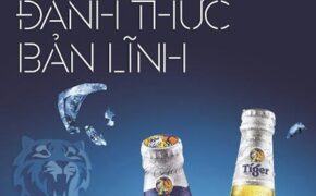 “Tiger Uncage Night” đánh thức bản lĩnh giới trẻ miền Bắc