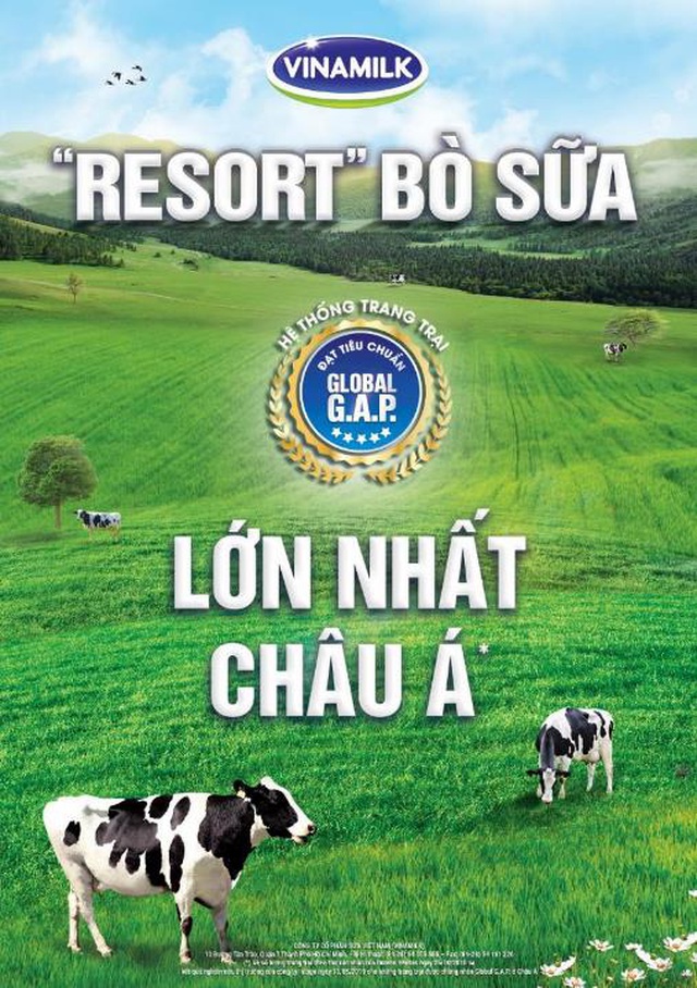 Chúc mừng Đội tuyển nữ Quốc gia Việt Nam giành ngôi Quán quân giải bóng đá vô địch Đông Nam Á 2019 – Vươn cao bản lĩnh Việt Nam - 4